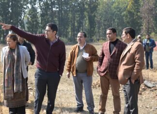 धौलास भूमि प्रकरणः अनियमित बिक्री पर जिला प्रशासन का बड़ा एक्शन, पैमाइश के साथ जांच शुरू